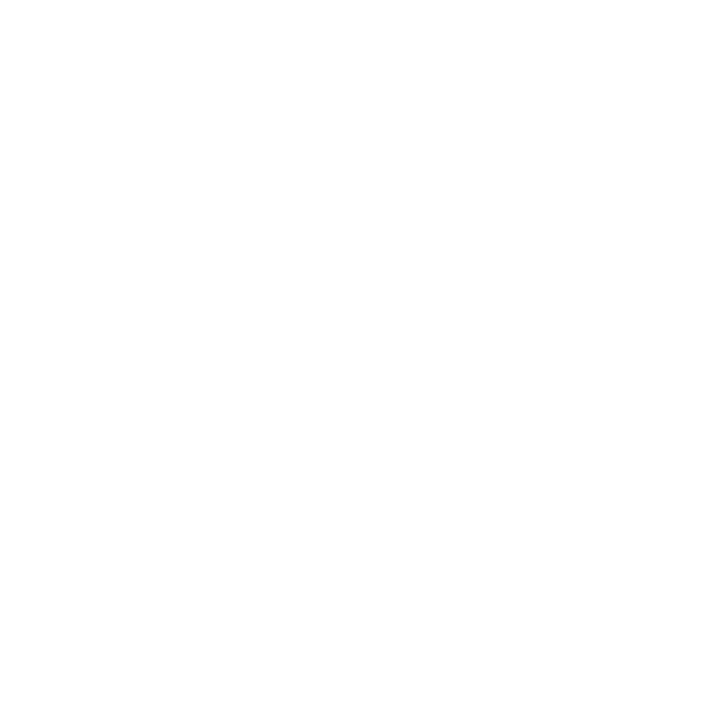 Hot Air Balloon