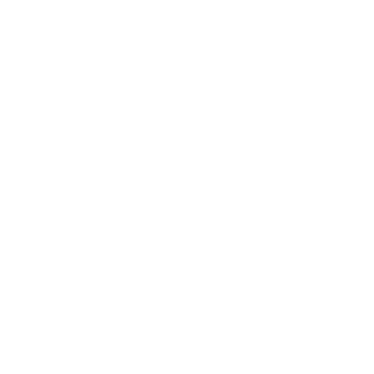 Torque Boutiq