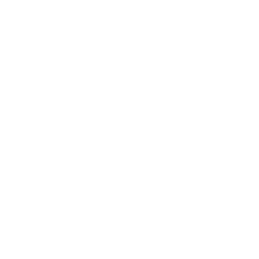 curry puff